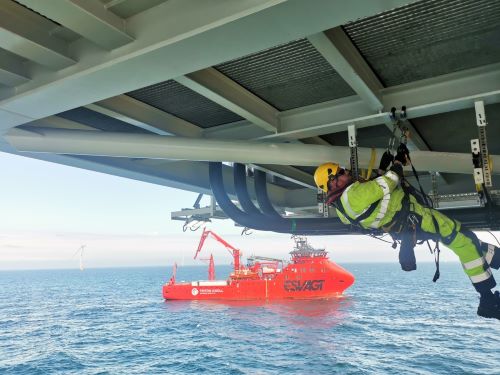 Renewables Sector Experience